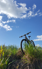 Fototapeta na wymiar Bicicleta parada em meio a relva verde e céu azul ao fundo