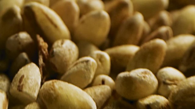 Close-up of rye grains covered with flour. Stock footage. Secale cereale is scientific name of Rye cereal grain