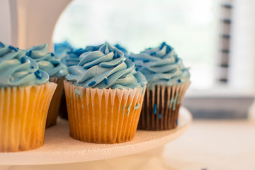 Blue frosted cupcakes