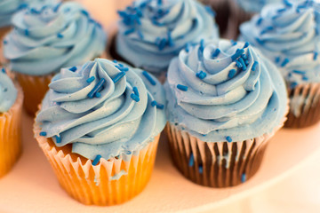 Blue frosted cupcakes
