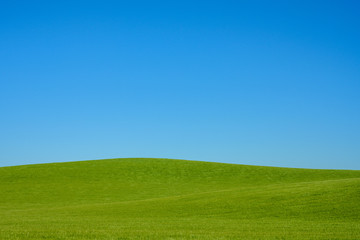 Fototapeta na wymiar Green Rolling Hills and Blue Sky