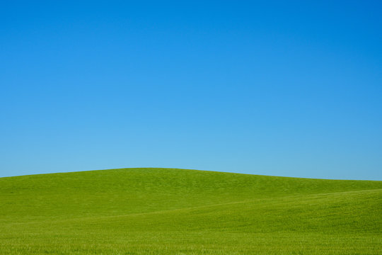 Green Rolling Hills And Blue Sky