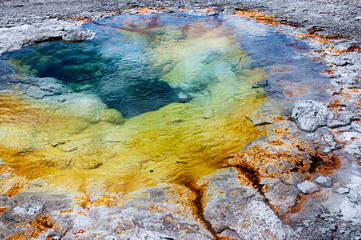 Morning Glory thermal pool Yellowstone