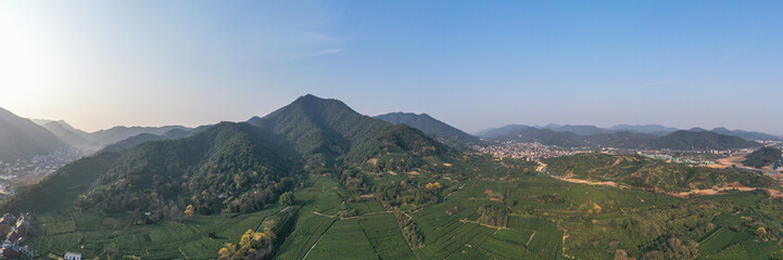 Fototapeta na wymiar Aerial view shot of green tea plantation