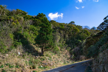 九十浜海水浴場