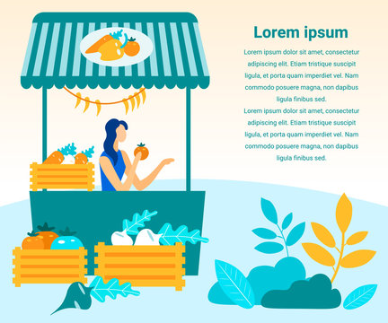 Woman Sells Farm Vegetables. Fresh Vegetables in Wooden Crates. Vector Illustration. People on Market. Natural Products. Farm Products. Farm Business. Sell Products in Market. Products on Counter.