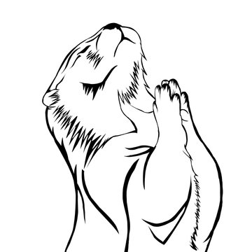 Sketch design of illustration beaver 