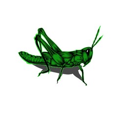 Simple design of illustration hr Green 