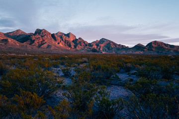 Organ Mountains at Sunset in the desert outside of Las Cruces New Mexico