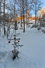 decorated Christmas tree in the forest