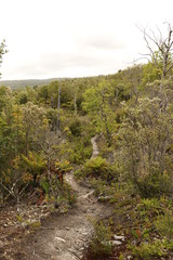 Fototapeta premium camino tantauco