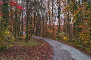 Beautiful road on late fall with alps in Bohinj, Slovenia