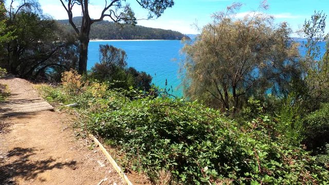 view of the natural landscape along the Boronia Beach walking track