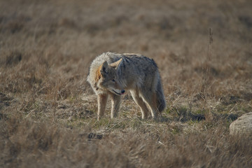 Tomi Fernandez Photography