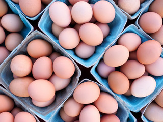 Fresh organic eggs for sale at a local farmers market.
