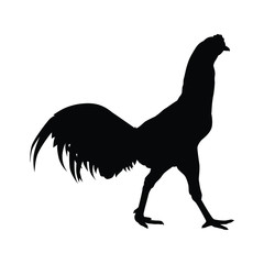 Fighting cock silhouette vector, animal