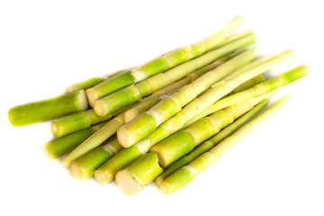 bamboo shoots can be cooked in a variety of types, popular in Thailand and Southeast Asia isolate on white