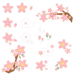 Obraz premium 桜素材