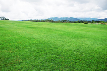 lawn with mountain background.