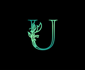 Nature Letter U Logo. U Letter Design Vector with Green Colors and Floral Hand Drawn.