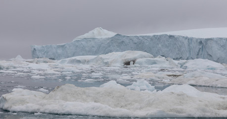 Floating icebergs in Disko Bay, ilulissat, Greenland