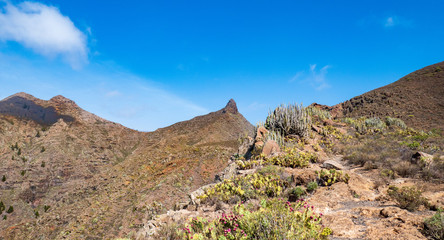 Berglandschaft auf Teneriffa im Sommer