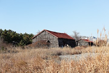 소래습지생태공원입니다