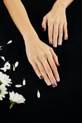 Female hands with simple nail design and white daisy flowers and petals, view from above