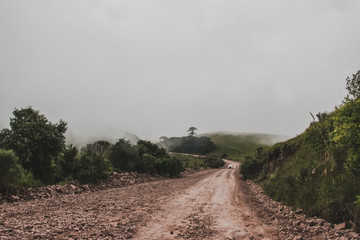 Montañas con neblina