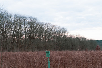 sign in the forest