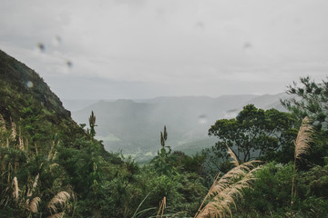 Montañas con neblina
