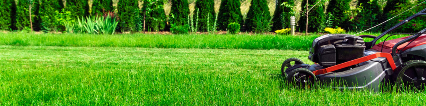Lawn mower cutting green grass in backyard, mowing lawn