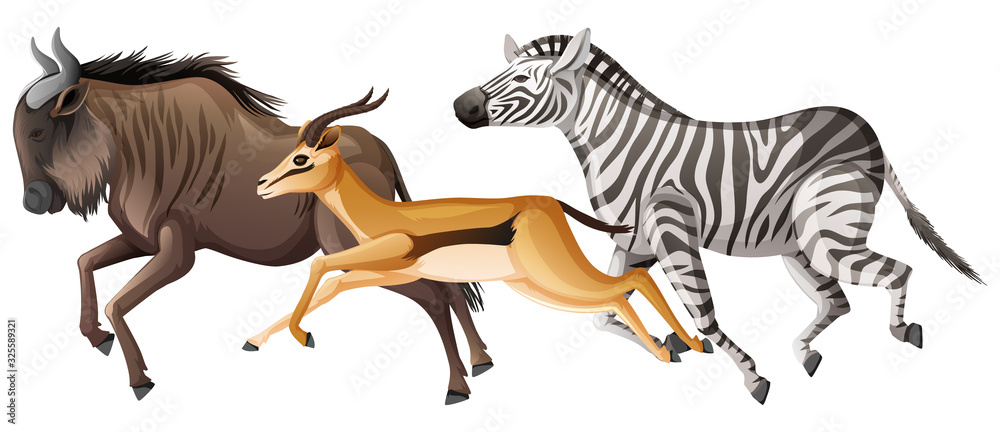 Sticker group of wild animals running on white background