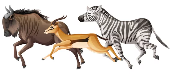 Group of wild animals running on white background © blueringmedia