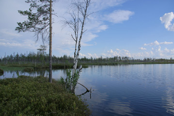 Obraz premium view of taiga lake