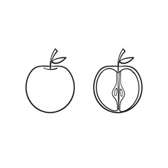 hand drawn doodle apple fruit illustration line art style