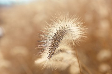 Obraz premium 시흥갯골생태공원입니다