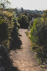 walking track along Blackman's Bay on a sunny summer day in the late afternoon before dusk,
