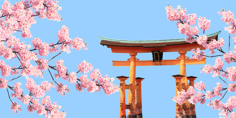 Branch of the blossoming sakura and Floating Torii gate, Japan - obrazy, fototapety, plakaty