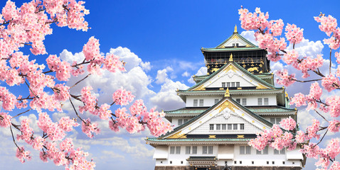 Branch of the blossoming sakura and Osaka castle, Japan