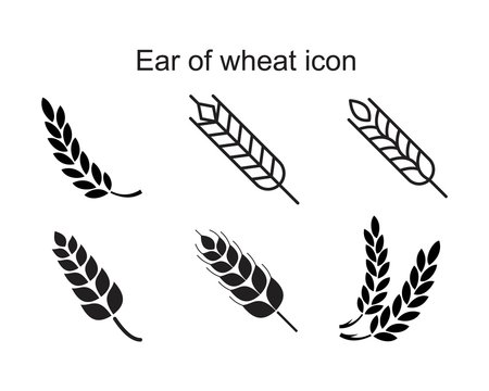 Ear of wheat icon template black color editable. Ear of wheat icon symbol Flat vector illustration for graphic and web design.