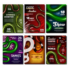 Exotic Snakes Show Advertising Banners Set Vector. Collection Of Creative Posters With Wild Danger Snakes. Bright Multicolored Skin Vipers. Deadly Tropical Serpent Wildlife Realistic 3d Illustrations - obrazy, fototapety, plakaty
