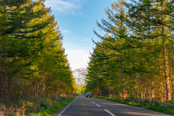 Seemingly endless asphalt road during sunset. row of trees along the country road in the countryside with mountains in the background