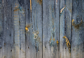 Battered, faded old vertical wooden planks with splotches of knots and remnants of light blue...