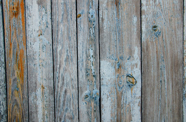 Battered, faded old vertical wooden planks with splotches of knots and remnants of light blue paint. Wooden abstract background, texture.