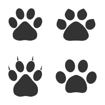 Set of animal paws in gray. Different animal paw print vector illustrations for your web site design, app, UI.  EPS10.