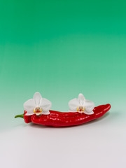 graceful red pepper with orchid flowers on green gradient background, color concept