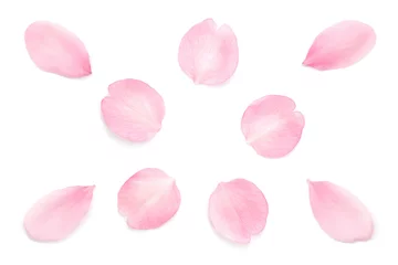Poster Sakura bloemblaadjes roze lente witte achtergrond © Naoki Kim