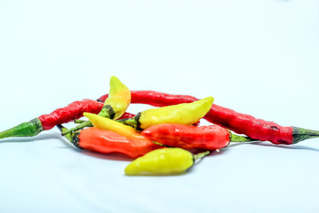 photos of natural and fresh herbs and spices