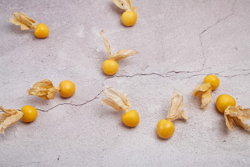 Lantern fruit gold girl